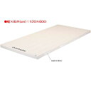 体操マット エバニュー EKM315 5cm厚合成スポンジコンビマット(枚) (ENW)【36CE】