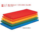 カラー体操マット エバニュー EKM003 エコ・カラーマット(枚)(オレンジ) (ENW)
