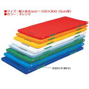 カラー体操マット エバニュー EKM083 防ダニカラーペットマットすべり止付(枚)(オレンジ) (ENW)