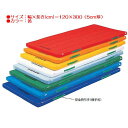 カラー体操マット エバニュー EKM043 カラーペットマット(枚)(黄) (ENW)