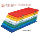 カラー体操マット エバニュー EKM043 カラーペットマット(枚)(サックス) (ENW)