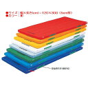 カラー体操マット エバニュー EKM043 カラーペットマット(枚)(紺) (ENW)