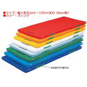 カラー体操マット エバニュー EKM048 カラーペットマットすべり止付(枚)(オレンジ) (ENW)