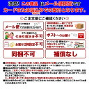 ◆P2倍!!　3/29～4/1まで!◆ タイツ キッズ スパッツ キッズ 子供 【メール便発送】 ジュニアハーフスパッツ オレンジ 【YNX】【14CD】 2