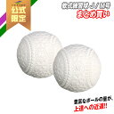 【フィールドフォース公式】【まとめ買い】軟式練習球 J号 / M号 軟式練習球 50球 / 100球 J号球 M号球 軟式ボール 野球 ボール 練習球 ピッチング バッティング 守備練習 少年野球 学童野球 中学野球 草野球