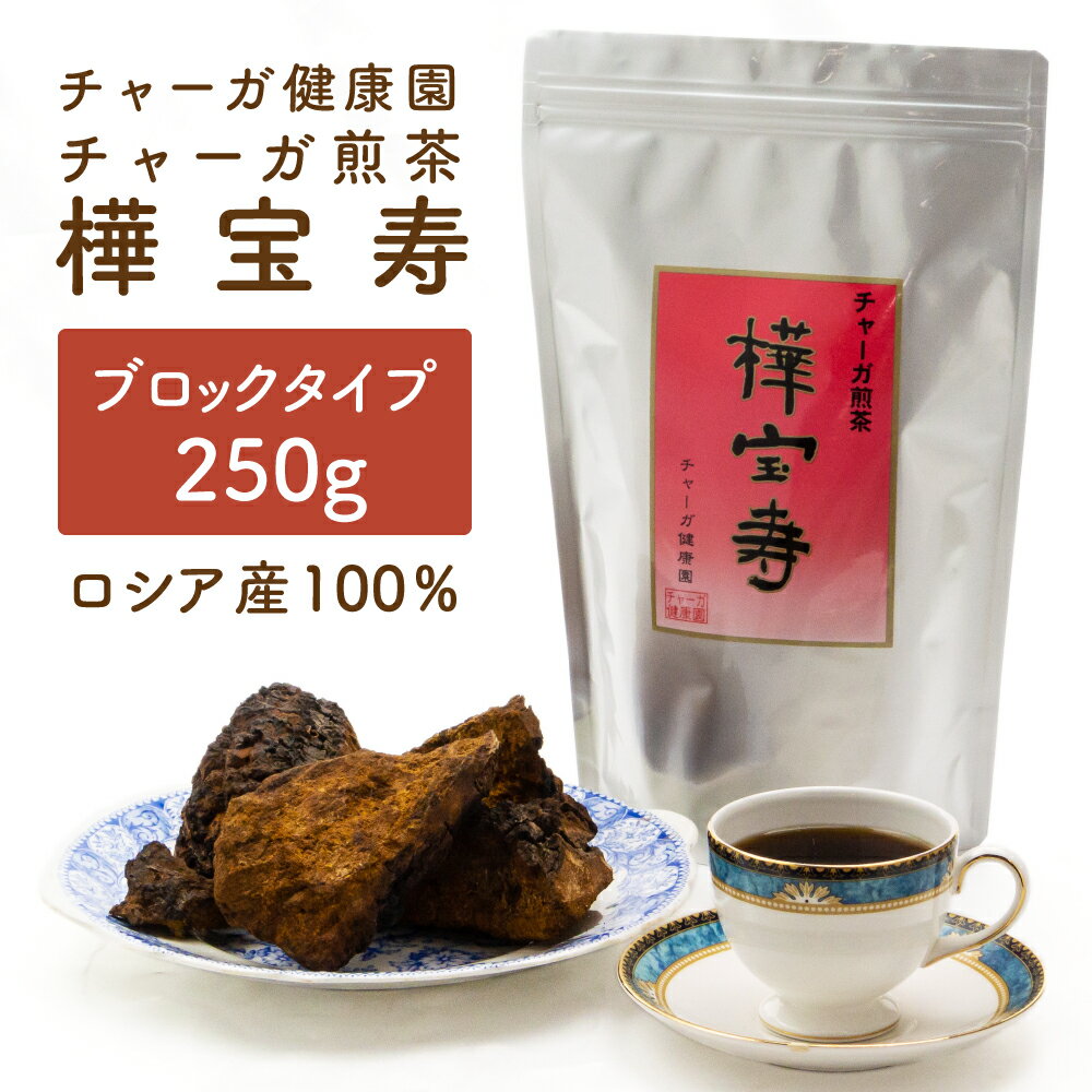 おいしい 健康習慣 夏はアイス 冬はホットで ノンカフェイン チャーガ （ カバノアナタケ ） 2～4週間 ロシア産 チャガ 樺宝寿 ブロック 250g 約8～16リットル分 送料無料 チャーガ健康園