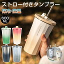 ストロー付きタンブラー タンブラー 水筒 トラベルタンブラー 真空二重構造 保温 保冷 結露しない 600ml ステンレス 大容量 二重構造 真空断熱 ストロー...