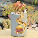 \5月1日までP5倍アップ/プランター 植木鉢 おしゃれ 盆栽 ミニ鉢 鉢植え 多肉植物 観葉植物 花 栽培 プレゼント ギフト かわいい ガーデニング 雑貨 ...