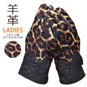 ☆≪ギフト≫ 秋冬 ファッション手袋レディース レオパード柄 羊革手袋 ステッチ&リボン付きフリーサイズ 袖の部分にステッチ≪ネコポスの場合3双まで可≫[721...