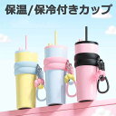 保温 保冷付きカップ タンブラー 蓋付き おしゃれ 溢れない 真空断熱 持ち手付き 水筒 ペットボトルクーラー 熱中症対策 水分補給 誕生日 プレゼント ギフト 水筒