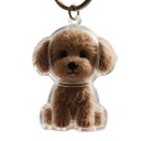 1ピースキーホルダー、ペットの毛の記念品、猫や犬の毛を収集するため、ペットメモリーボックスの瓶、犬の記念品、ペットの毛の記念品箱、猫や犬の毛を収集するためのキー...
