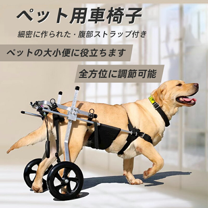 楽天市場】大型犬歩行器の通販 楽天市場】大型犬歩行器の通販