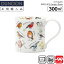 Dunoon ダヌーン マグ 300ml BUTE BIRDLIFE Garden Birds お庭の鳥たち | マグカップ 正規輸入品 正規品 ユニーク イギリス ボーンチャイナ 陶器 軽い イラスト 鳥 バード ギフト プレゼント スープマグ コーヒーマグ 誕生日プレゼント スープカップ 3,960円
