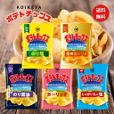 湖池屋 売れ筋ポテトチップス 5種アソート 計12袋 コイケヤ のり塩 金のコンソメ ガーリック のり醤油 じゃがいもと塩 じゃがいも ジャガイモ お菓子 おかし おやつ おつまみ 大容量 プレゼント ギフト パーティー 子供会 景品 イベント セット まとめ買い