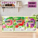 マンナンライフ 蒟蒻畑 3種 りんご ぶどう 白桃 25g×10個入り 各2袋 大容量 合計60個 まとめ買い ヘルシー おやつ デザート 間食 ダイエット アソート こんにゃく畑