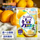 UHA味覚糖 さっぱり塩飴 塩レモン味 64g キャンデイ 飴 塩 レモン 熱中症 塩分補給 ビタミンC カリウム 鉄 クエン酸 栄養機能食品 かみ舎楽 青レモ...