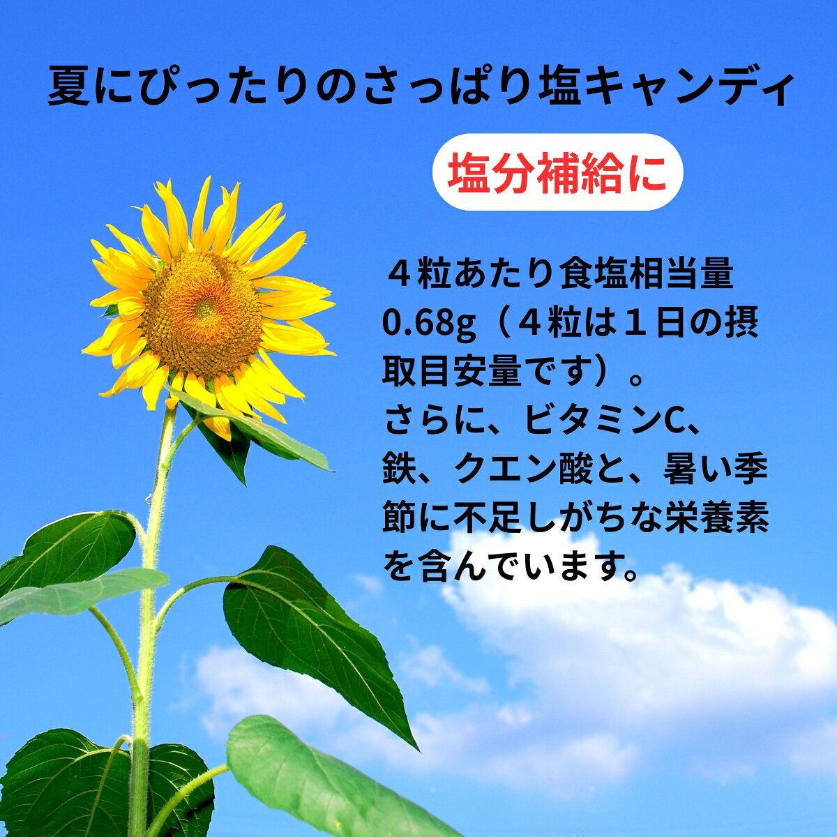 UHA味覚糖 さっぱり塩飴 塩レモン味 64g キャンデイ 飴 塩 レモン 熱中症 塩分補給 ビタミンC カリウム 鉄 クエン酸 栄養機能食品 かみ舎楽 青レモン セット まとめ買い 3個 4個 5個 6個 買い回り マラソン ポイント消化 filexmartjapan-10000549 Filex Mart Japan サンプル画像2