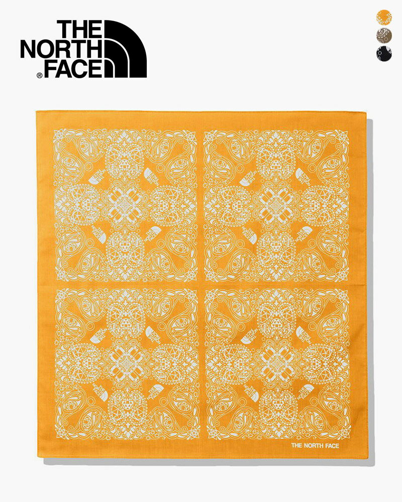 ノースフェイス ジオドームペイズリーバンダナ THE NORTH FACE Geodome Paisley Bandana NN22202