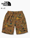 ノースフェイス ノベルティークラスファイブショート(キッズ) THE NORTH FACE Novelty Class V Short NBJ42156