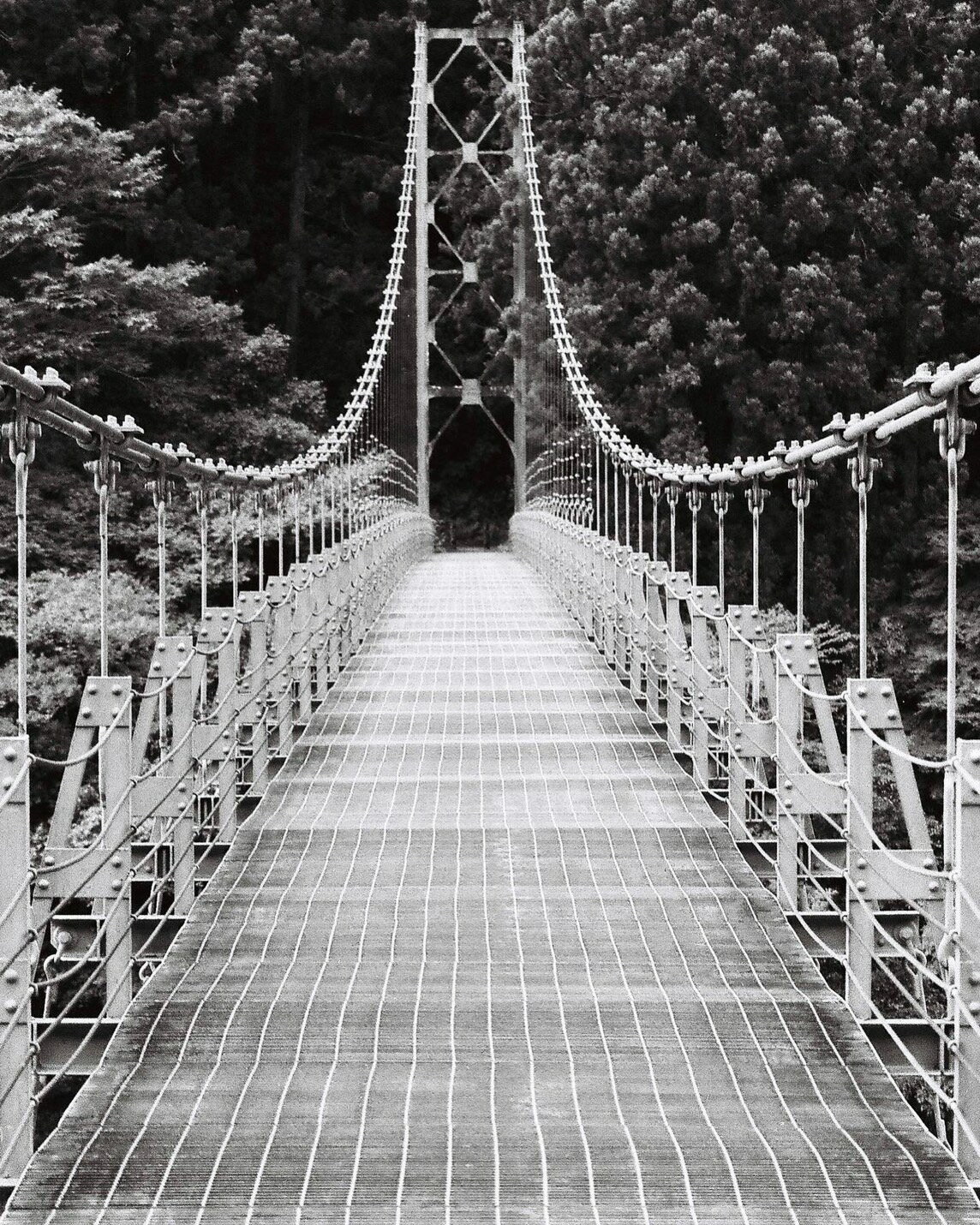 フィルムメイトの【LUCKY モノクロフィルム】 36枚 フィルム現像 使い捨てカメラ レトロカメラ フィルムカメラ現像 データ化 現像 ネガ 白黒 フィルムカメラ フィルム 白黒フィルム 白黒写真 ネガフィルム スマホ転送 繰り返し ワンショット エモ 写真 おしゃれ 1shot｜アングル3