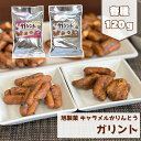 ポイント消化 500円 送料無料 旭製菓 キャラメル かりんとう ガリント 【スイートポテト】【コーヒー】【メール便YS】120g さつまいも コーヒー お菓子...