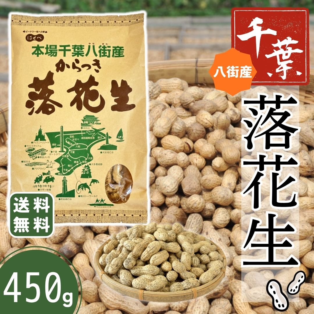 即日発送 当日出荷 殻付き 落花生（千葉県） 千葉県八街産 新豆【1袋】450g 殻付き 【ナカテユタカ】ピーナッツ 中手豊【HB11】国産 皮ごと 煎りざや 無添加 無着色 無塩 はせべ ちば 八街産 100% やちまた ナッツ ピーナツ ぴーなつ