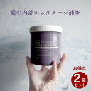 【10％オフ★GWセール中】【お得な2個セット】ハホニコ キラメラメ メンテケア ヘアパック デイリー 500g トリートメント ヘアケア サロン専売品 美容室専売 うねり 美髪 パサつき ダメージケア 補修 キューティクル 枝毛 くせ毛 縮毛