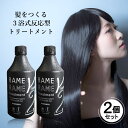 【P10倍★24日20時よりスタート】 【2個セット】ハホニコ ザラメラメ No.2 イオンチェンジャーザガンマ ブラックレーベル 500ml トリートメント HAHONICO ハホニコトリートメント 美容室 サロン専売品 業務用 美容室専売 ギフトプレゼント 実用的
