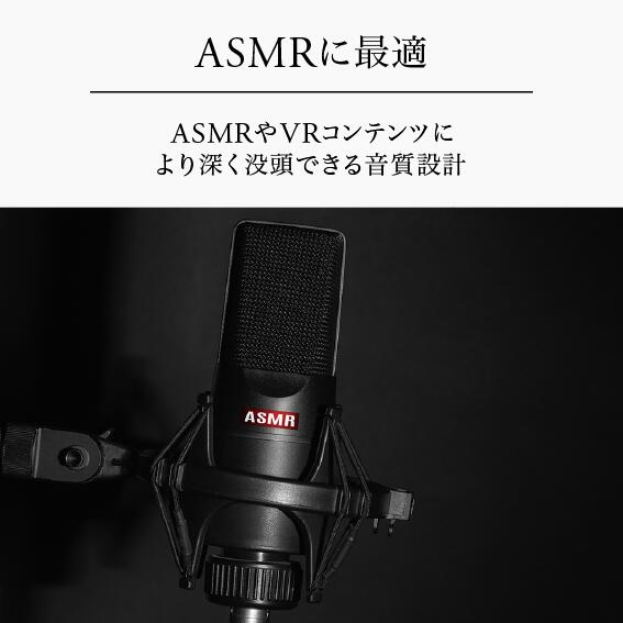 【final公式】E500 final ファイナル ASMR asmr バイノーラル カナル型 有線 3.5mmプラグ 有線イヤホン 睡眠 高音質 イヤフォン ギフト プレゼント ブラック BLACK FI-E05PLBL [E500] 画像3