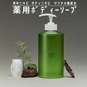 原料工房 ティーツリーグリーン ボディウォッシュ 薬用 ボディソープ 500ml サリチル酸配合 背中ニキビケア 大人ニキビ予防 毛穴汚れ 角質ケア 肌荒れ対策 WOLLYO