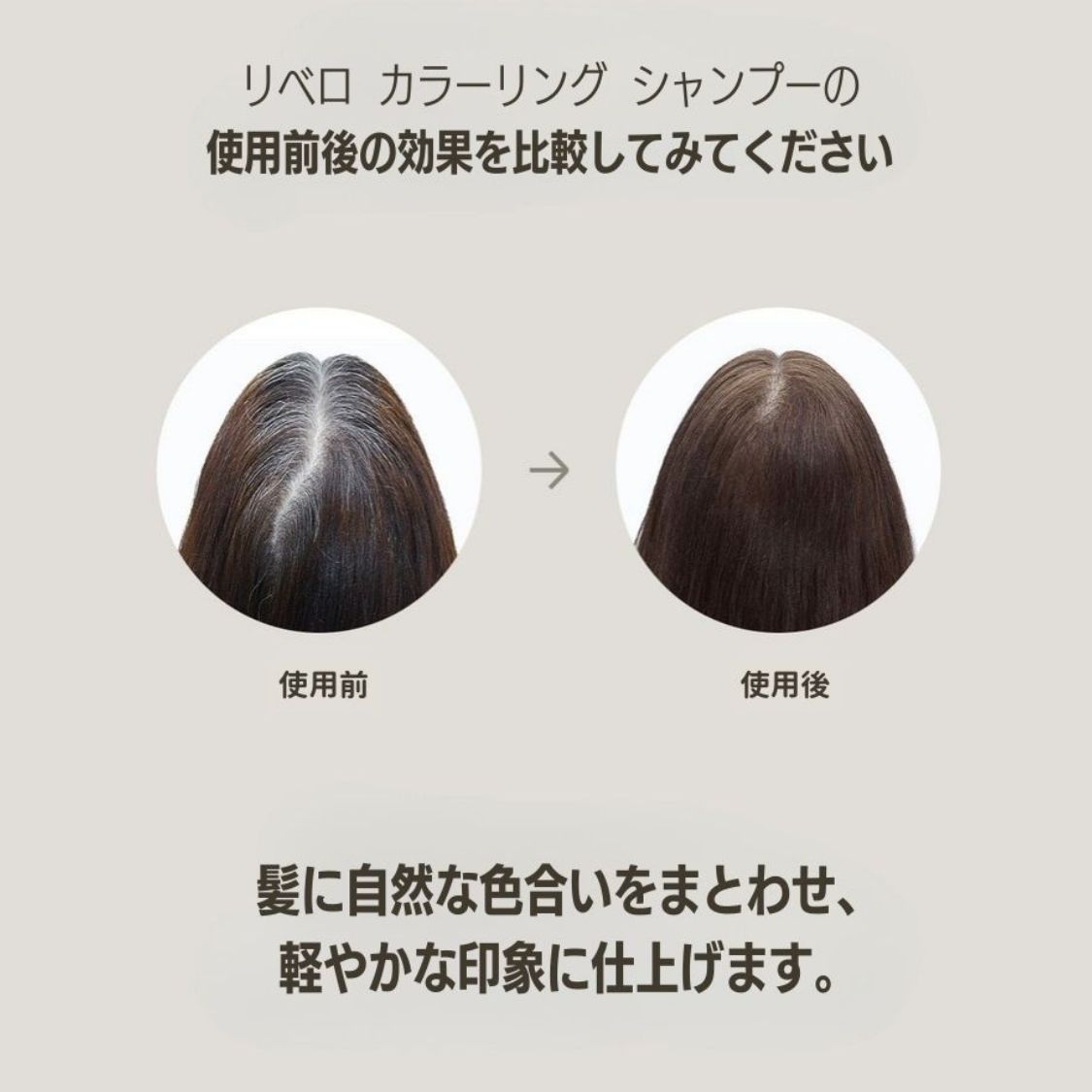 Lebero ��٥� ���顼��󥰥����ס� �������֥饦��/�֥�å� 300ml ��ȱ�ѥ��顼�����ס� Ƭ�饱����ʬ�۹� �����˥��ե꡼