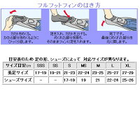 サイズ