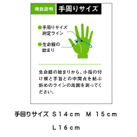サイズ