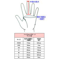 アイズカットサイズ