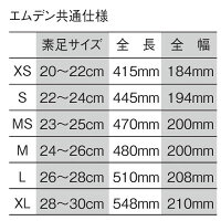 サイズ