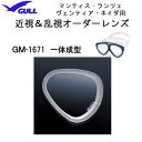 GULL（ガル）純正品　オーダーレンズ　受注生産 一体成型タイプ　ランツェ・ネイダ　ヴェンティア用　■2枚セット　マスク用度付レンズ　GM-1671 GM1671 左右共用