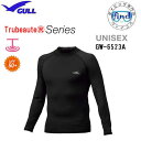 即日あり M/L/LL 8月予約中 GULL ガル ラッシュガード 長袖 ラッシュガードロング ユニセックス GW-6523A GW6523A トゥルーボーテ マリンウェア ダイビング 海辺 リゾート