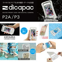 ディカパックP2AP3