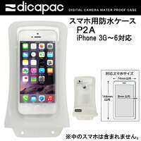 ディカパックP2A