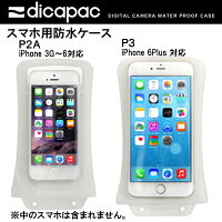 ディカパックP2AP3