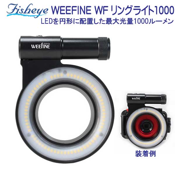 եå奢WEEFINE WF 󥰥饤1000 LED߷֤ 1000롼Υ󥰥饤 ӡŴ *ե륻åȻ*᡼߸˳ǧޤ