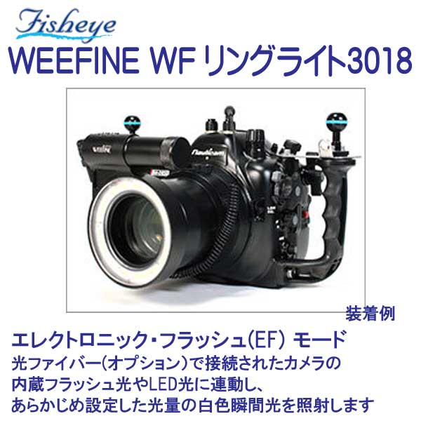 �ե��å��奢����WEEFINE WF ��󥰥饤��3018 LED��߷������֤��� �������1800�롼���Υ�󥰥饤�� ��å�゙������゙�롼����ȼͲ�ǽ �����ӡ����Ŵ��� *�ե륻�åȻ���*