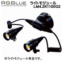RGBlue アールジーブルー ツインライト 【ライトモジュール LM4.2K1100G2 】プレミアムカラー 高彩色モデル 最大2200ルーメン(2灯）RGBlue 対応アクセサリー メーカー在庫確認商品