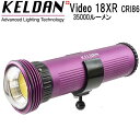 KELDAN Video 18XR CRI86 35000ルーメン 水中ライト　充電池、充電器付き