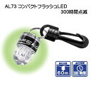 AL73 コンパクトフラッシュLED 300時間