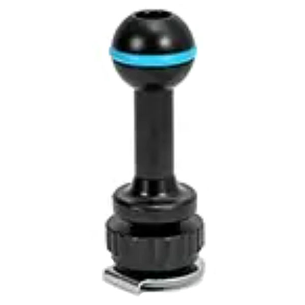 即日発送 nauticam ノーティカム NA ホットシューベースL アクセサリーシュー部分に取り付け 20743