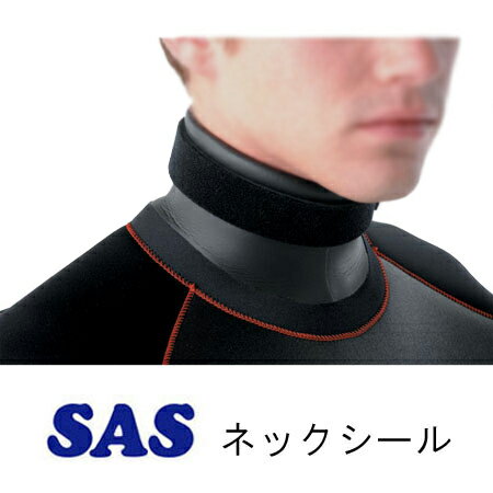 SAS��65930 �ͥå� ������