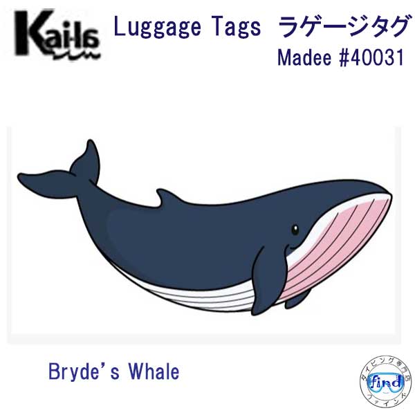 あす楽対応 Kai-la ラゲージ タグ Madee 40031 Bryde 039 s Whale ニタリクジラ かわいい 海洋生物 Luggage TAG ネームタグ Dive Inspire