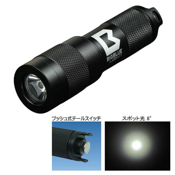 ダイビング専門店ファインドのZERO ゼロ 水中ライト bigblue AL-450NM Tail2 450ルーメンの明るさ プッシュ式テールスイッチ 乾電池｜アングル3