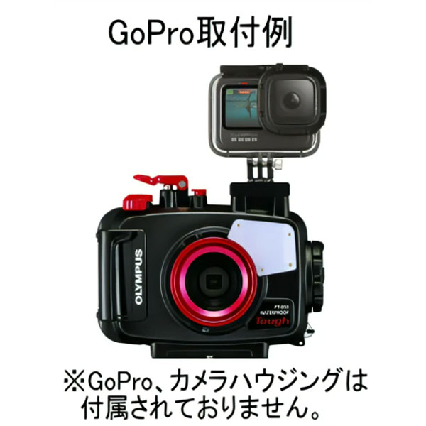 ダイビング専門店ファインドのZERO ゼロ bigblue ビッグブルー 水中ライトアクセサリー GoProホットシューアダプター ロックプレート付き 撮影機材にGoProを固定｜アングル3